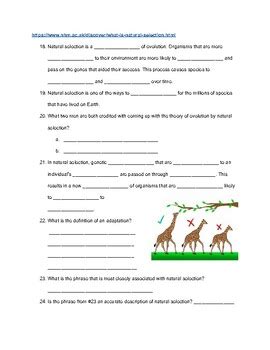The student handout for evolution by natural selection has been substantially revised to improve clarity and to incorporate more challenges for students to think critically and creatively. Introduction to Evolution WebQuest by Miss Ingle Science | TpT