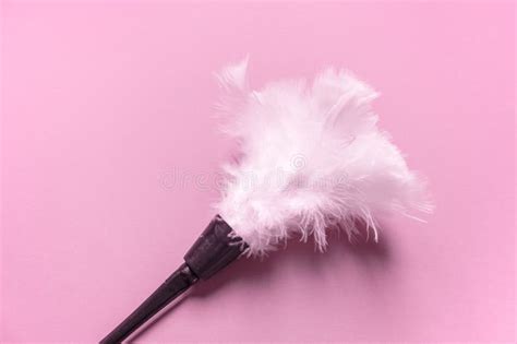 Erotic Feathers Tickling Body Sensation Role Playing Maid Costume