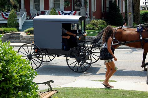 Amish Carriage Vakantie Fotos Vakanties Vakantie