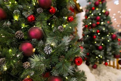 Beautiful Christmas Tree With Fairy Lights And Festive Decor Closeup