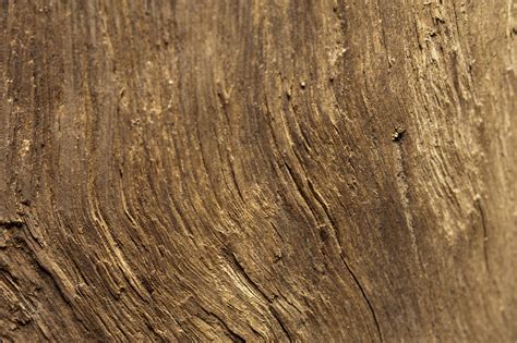 Free Photo Rough Wood Antique Brown Plank Free Download Jooinn