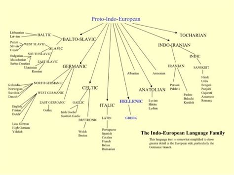 Indo European Language Tree