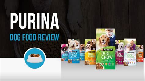 We did not find results for: Purina Dog Chow Review - Woof Whiskers