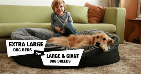 6 Extra Large Dog Beds For Xlxxl Dog Breeds Reviewed
