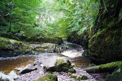 Walks In Wales Pontneddfechan Waterfalls Walk Waterfall Places To
