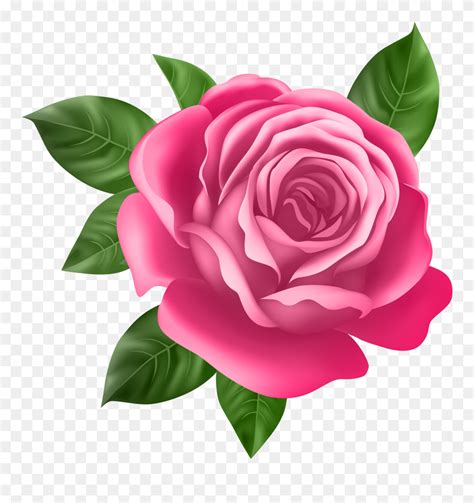 Download Pink Rose Transparent Png Clip Art Best Rose Flower 215224