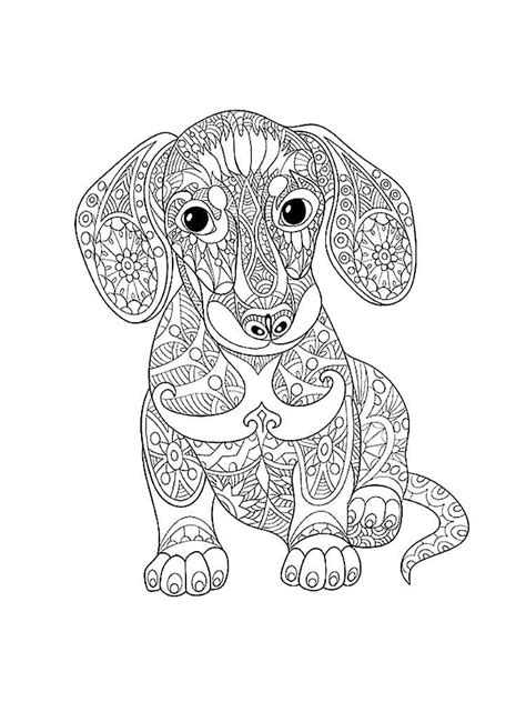 Animals Coloring Page For Adults Coloring Home