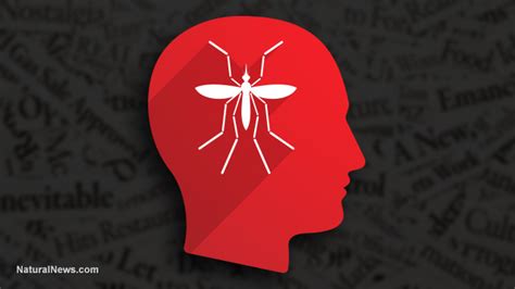 Zika Propaganda Is A ‘virus Of The Mind Rooted In Fabricated Hysteria