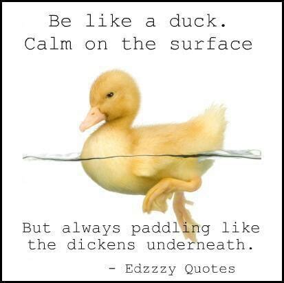 Explore 205 duck quotes by authors including michael caine, douglas adams, and ken blanchard at brainyquote. Duck Quotes Paddling. QuotesGram