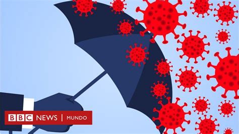 Coronavirus Qué Es La Inmunidad Cruzada Y Por Qué Puede Ser Clave En