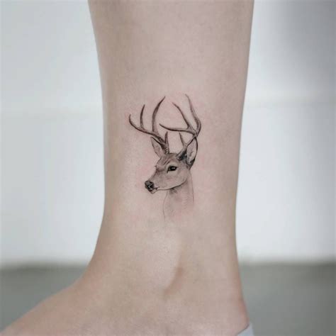 Deer Tattoos Tattoo Designs