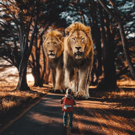 Surreal Digitally Manipulated Photos Featuring Giant Animals Roaming