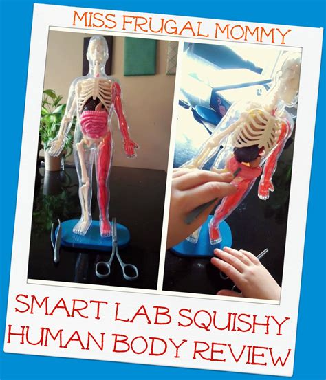 It's the body you call home. SmartLab Toys: Squishy Human Body Review - Miss Frugal Mommy