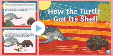 Aboriginal Dreaming How The Turtle Got Its Shell Powerpoint