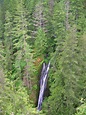 Fallsview | Quilcene — Waterfall Trail