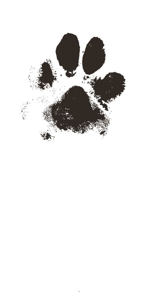 Dog Paw Print Prints · Free Vector Graphic On Pixabay