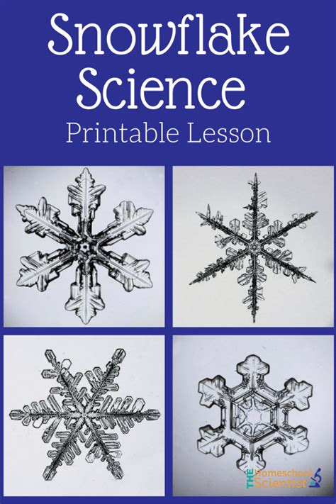 Snowflake Science Printable Lesson The Homeschool Scientist