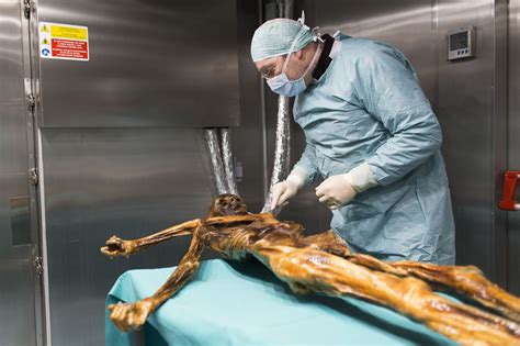 Ötzi the Iceman died 5 300 years ago but he still needs regular