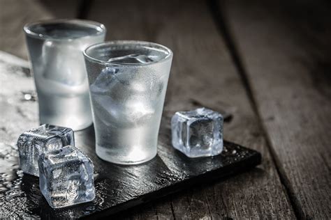 Gin Vs Vodka Main Differences Rabbit Hole Distillery