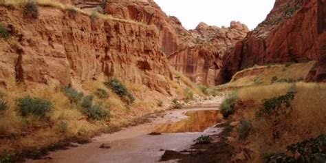 2 Hikers Killed After Flash Flooding Impacts Utah Canyon Fox Weather