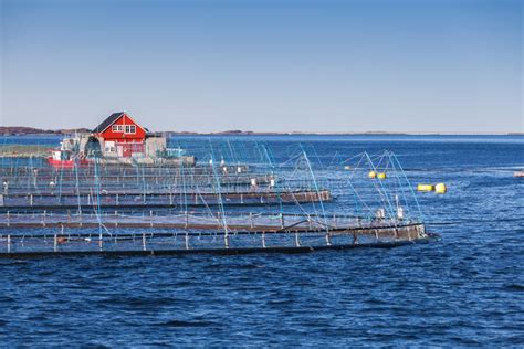 Norwegian Fish Farm Fjord In Trondheim Region Stock Image Image Of