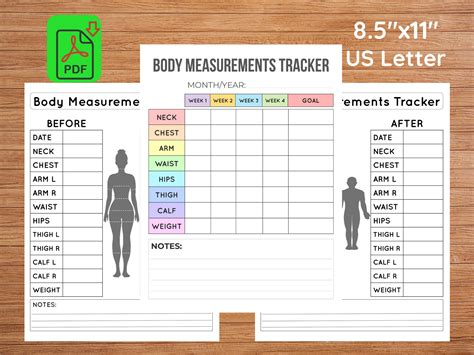 Printable Body Measurement Tracker Customize And Print