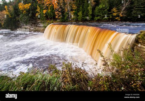 Tahquamenon Falls In Michigan Autumn At Beautiful Tahqua Falls In The