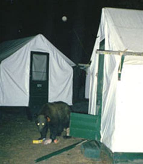 Maybe you would like to learn more about one of these? Yosemite Tents & Bears And Food Storage - Yosemite ...