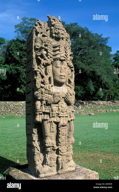 Honduras Copan Ruinas Maya Ruins Mayan Art Sculpture Vertical Stela A