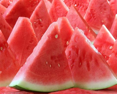 40 interesting and unknown watermelon facts superior facts the real and quick knowledge enhancer