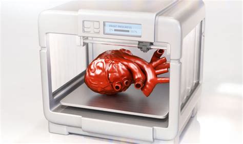 Science News Organs Reproduced With 3d Printers For Surgeons Science