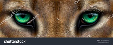 4792 Cougar Eyes Images Stock Photos And Vectors Shutterstock