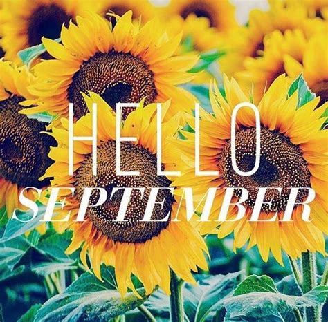 Hello September Pictures, Photos, and Images for Facebook, Tumblr, Pinterest, and Twitter