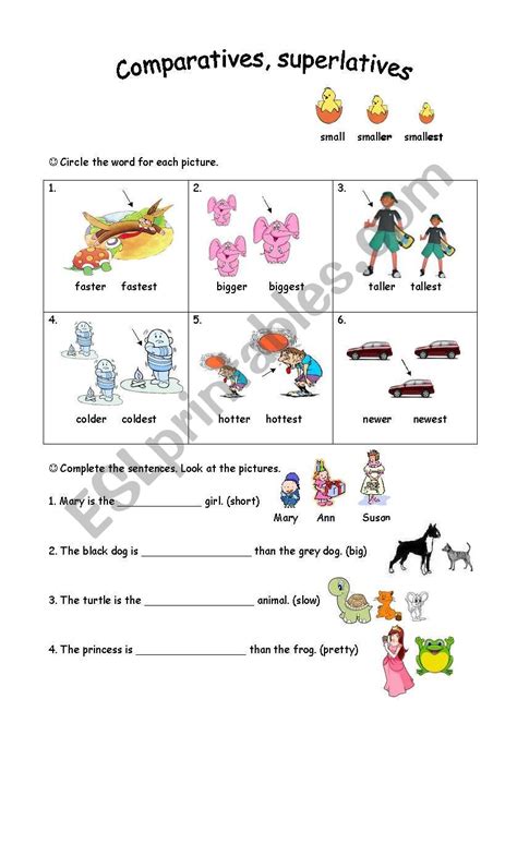 Comparatives And Superlatives Esl Worksheet By Frantrivelli