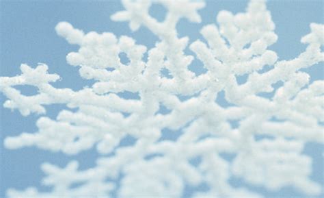 The Largest Snowflake In Recorded History Reported At Fort Flickr