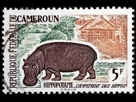1 what is stamp duty? Cameroon rare stamps for philatelists and other buyers ...