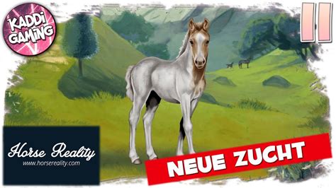 Horse Reality 9 Entdecke Die Neuigkeiten Youtube