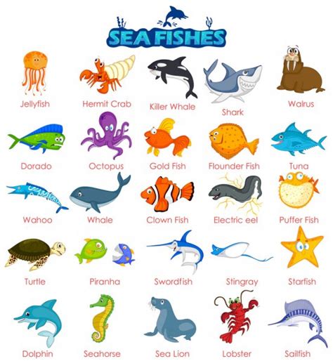 Pmages Sea Animal Name With Picture Oceanarium Ocean Animals And