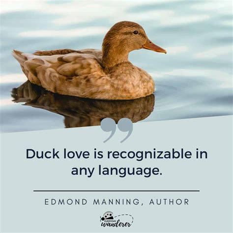 Donald Duck Sayings