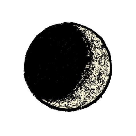 Waxing Crescent Moon Art Print Slow Loris