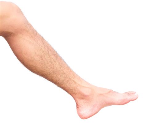 Hair Loss on Your Legs? You Might Have a Vascular Problem