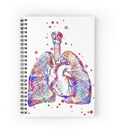 Herz Und Lungen Herz Kunst Anatomie Kunst Lunge Kunst Spiralblock