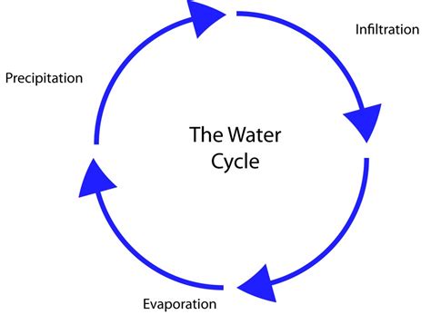 Diagram Of The Water Cycle Watershed At The University Of Maryland