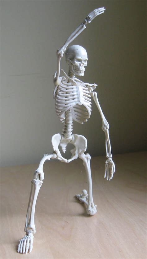 Illustration Fixation: Skeleton Model
