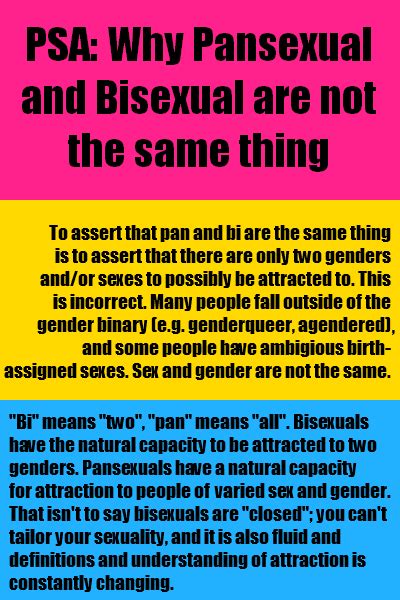 Difference Between Bisexual And Pansexual Tumblr Citas Romanticas