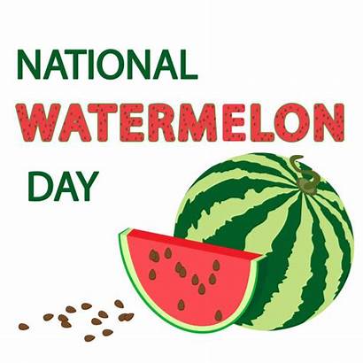 Watermelon National Clip Vector Illustrations History Activities