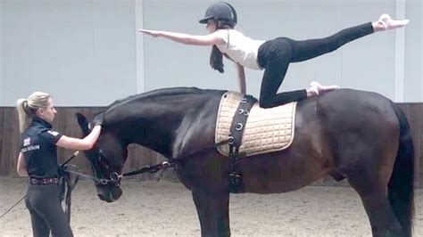 ‘he Has The Most Amazing Canter World Famous Stallion Tries His Hoof