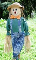 Unique funny and creative diy scarecrow ideas for your garden, outdoor ...