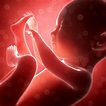 Your Baby's Alertness in the Womb