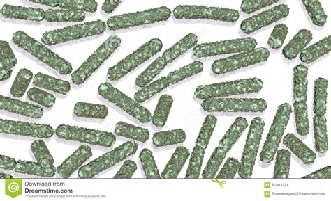 Ecoli Bacteria Cells Stock Photo Image Of Biology
